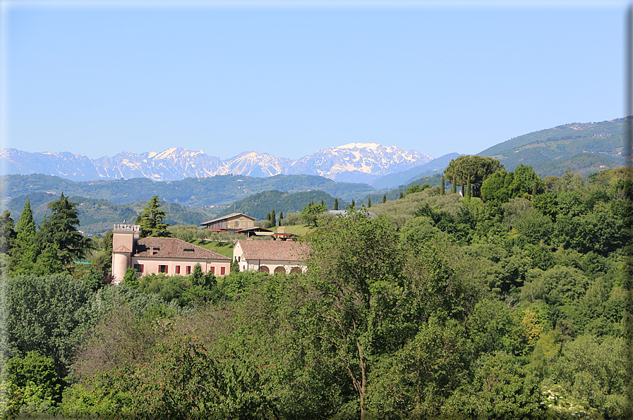 foto Colli degli Ezzelini